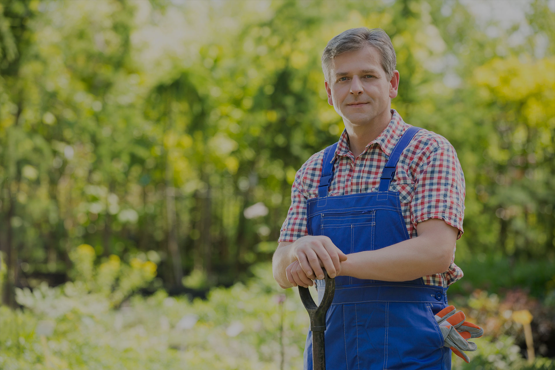 DOĞANIZA RENK KATIN