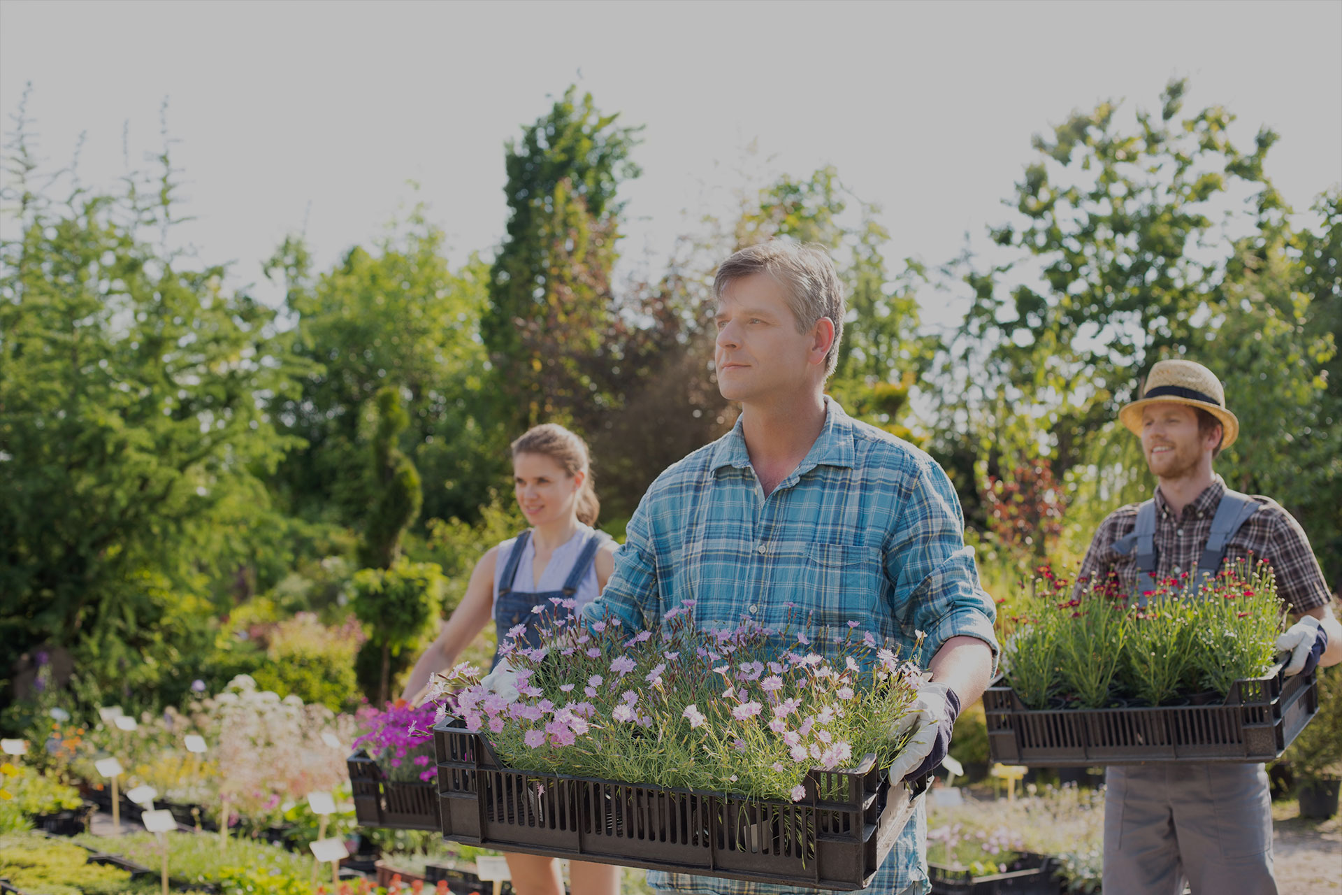 DOĞANIZA RENK KATIN